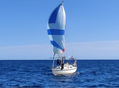 Albatros barco